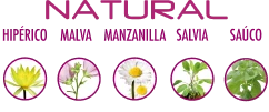 Uuid A05a6afd 0d2c 49ff A4f9 37f69f8fefe0 1x